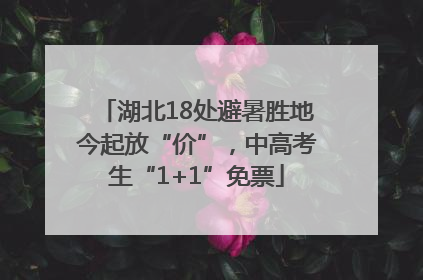 湖北18处避暑胜地今起放“价”，中高考生“1+1”免票