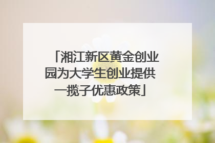 湘江新区黄金创业园为大学生创业提供一揽子优惠政策