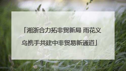 湘浙合力拓非贸新局 雨花义乌携手共建中非贸易新通道