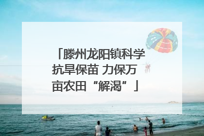 滕州龙阳镇科学抗旱保苗 力保万亩农田“解渴”