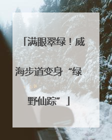 满眼翠绿！威海步道变身“绿野仙踪”