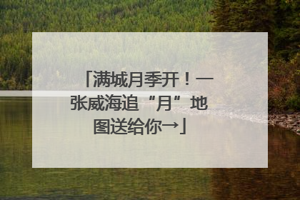 满城月季开！一张威海追“月”地图送给你→