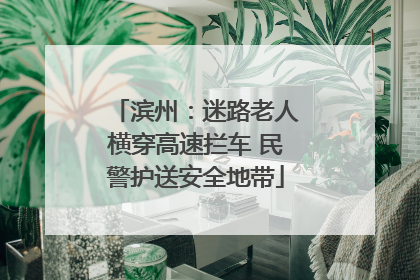 滨州：迷路老人横穿高速拦车 民警护送安全地带