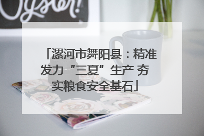 漯河市舞阳县：精准发力“三夏”生产 夯实粮食安全基石
