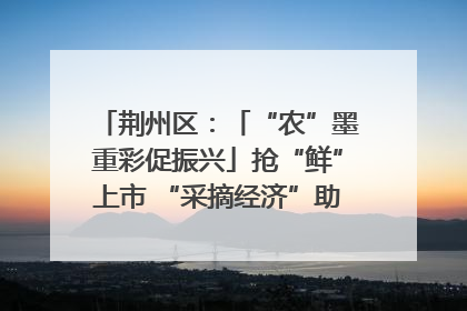 荆州区：「“农”墨重彩促振兴」抢“鲜”上市 “采摘经济”助农“甜蜜增收”
