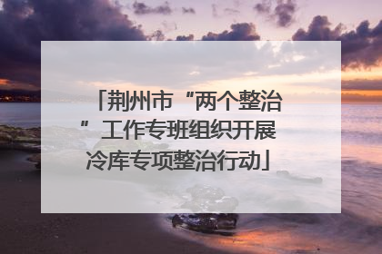 荆州市“两个整治”工作专班组织开展冷库专项整治行动