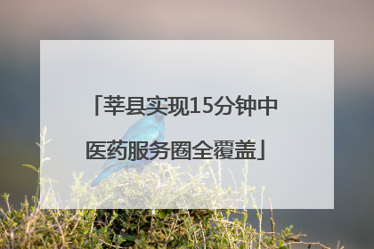 莘县实现15分钟中医药服务圈全覆盖