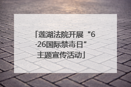 莲湖法院开展“6·26国际禁毒日”主题宣传活动
