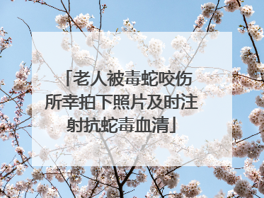 老人被毒蛇咬伤 所幸拍下照片及时注射抗蛇毒血清
