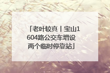 老叶较真丨宝山1604路公交车增设两个临时停靠站