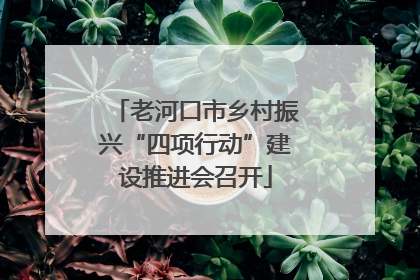 老河口市乡村振兴“四项行动”建设推进会召开