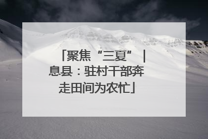 聚焦“三夏”｜息县：驻村干部奔走田间为农忙