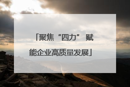 聚焦“四力” 赋能企业高质量发展