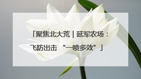 聚焦北大荒｜延军农场：飞防出击 “一喷多效”