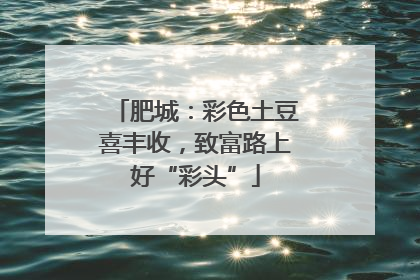 肥城：彩色土豆喜丰收，致富路上好“彩头”