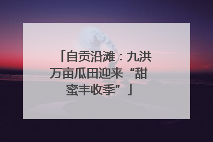 自贡沿滩：九洪万亩瓜田迎来“甜蜜丰收季”