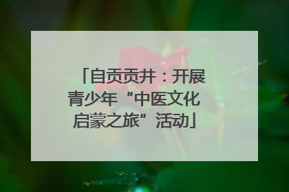 自贡贡井：开展青少年“中医文化启蒙之旅”活动