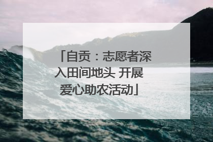 自贡：志愿者深入田间地头 开展爱心助农活动