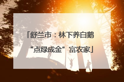 舒兰市：林下养白鹅 “点绿成金”富农家