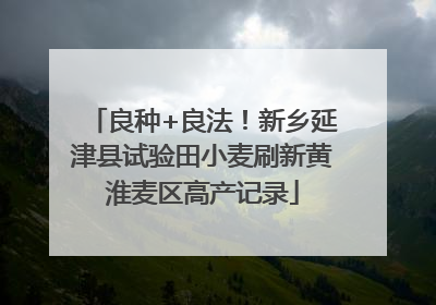 良种+良法！新乡延津县试验田小麦刷新黄淮麦区高产记录