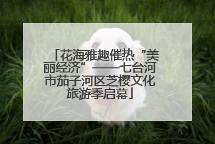 花海雅趣催热“美丽经济”——七台河市茄子河区芝樱文化旅游季启幕