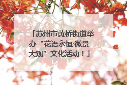苏州市黄桥街道举办“花语永恒·微景大观”文化活动！