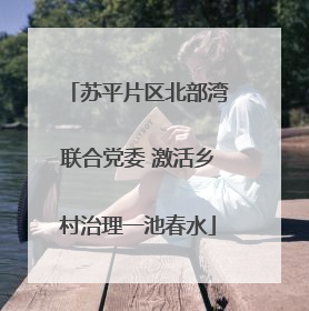 苏平片区北部湾联合党委 激活乡村治理一池春水
