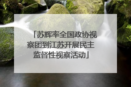 苏辉率全国政协视察团到江苏开展民主监督性视察活动