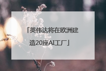 英伟达将在欧洲建造20座AI工厂