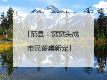 范县：窝窝头成市民餐桌新宠