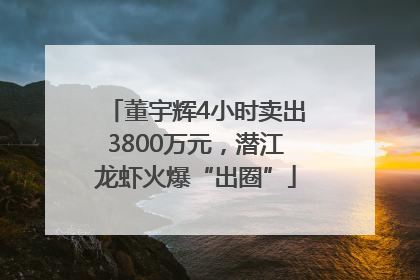 董宇辉4小时卖出3800万元，潜江龙虾火爆“出圈”