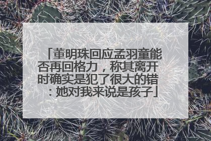 董明珠回应孟羽童能否再回格力，称其离开时确实是犯了很大的错：她对我来说是孩子