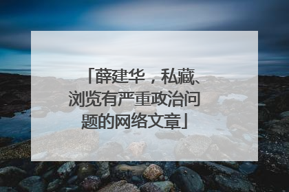 薛建华，私藏、浏览有严重政治问题的网络文章