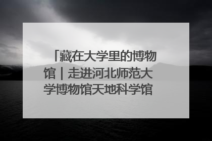 藏在大学里的博物馆｜走进河北师范大学博物馆天地科学馆：在校园里赴一场“宇宙之约”