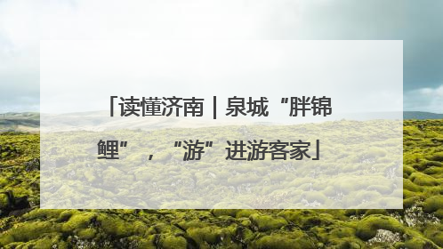 读懂济南｜泉城“胖锦鲤”，“游”进游客家