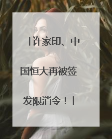 许家印、中国恒大再被签发限消令！