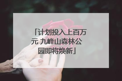 计划投入上百万元 九峰山森林公园即将焕新