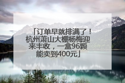 订单早就排满了！杭州萧山大棚杨梅迎来丰收，一盒96颗能卖到400元
