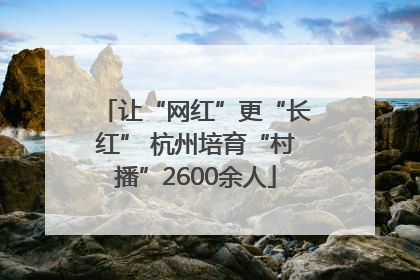 让“网红”更“长红” 杭州培育“村播”2600余人