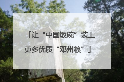 让“中国饭碗”装上更多优质“邓州粮”