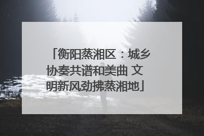 衡阳蒸湘区：城乡协奏共谱和美曲 文明新风劲拂蒸湘地