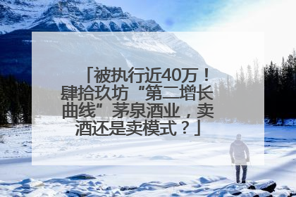 被执行近40万！肆拾玖坊“第二增长曲线”茅泉酒业，卖酒还是卖模式？