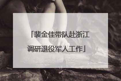 裴金佳带队赴浙江调研退役军人工作