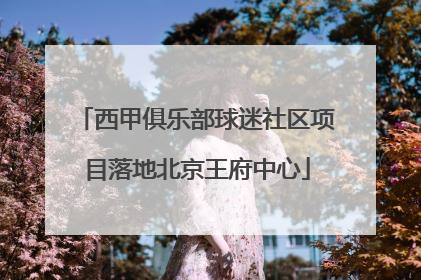 西甲俱乐部球迷社区项目落地北京王府中心