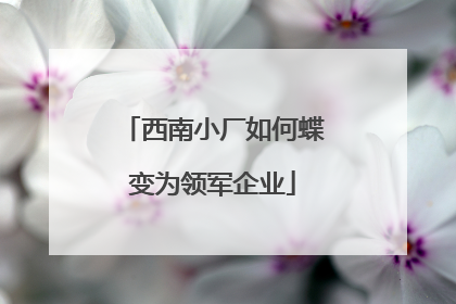 西南小厂如何蝶变为领军企业