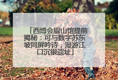 西博会眉山馆提前揭秘：可与数字苏东坡同屏吟诗，漫游江口沉银遗址