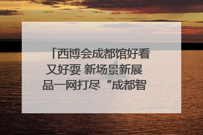 西博会成都馆好看又好耍 新场景新展品一网打尽“成都智造”｜西博视界