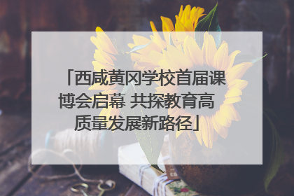 西咸黄冈学校首届课博会启幕 共探教育高质量发展新路径