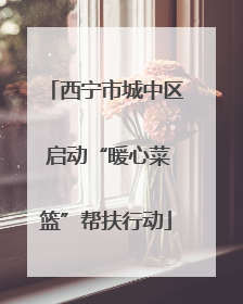 西宁市城中区 启动“暖心菜篮”帮扶行动