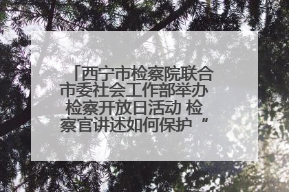 西宁市检察院联合市委社会工作部举办检察开放日活动 检察官讲述如何保护“少年的你”